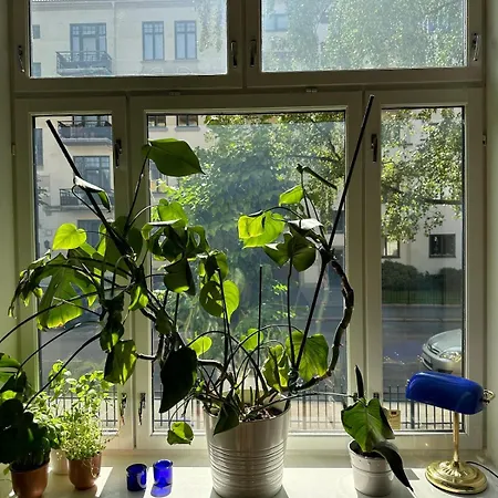 Beautiful, Quiet, Oasis Διαμέρισμα *